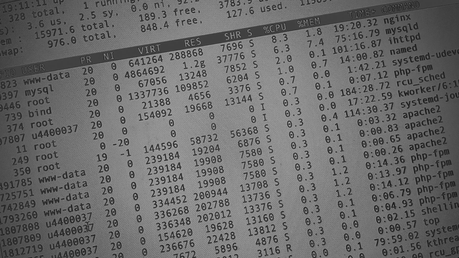 Настройка сервера в Сибае