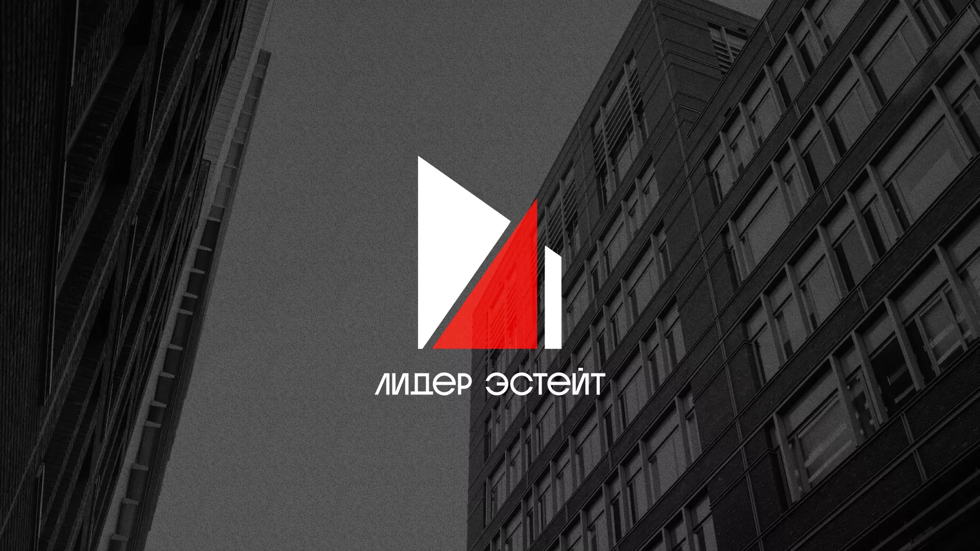 Сделали логотип для агентства недвижимости «Лидер Эстейт» в Сибае